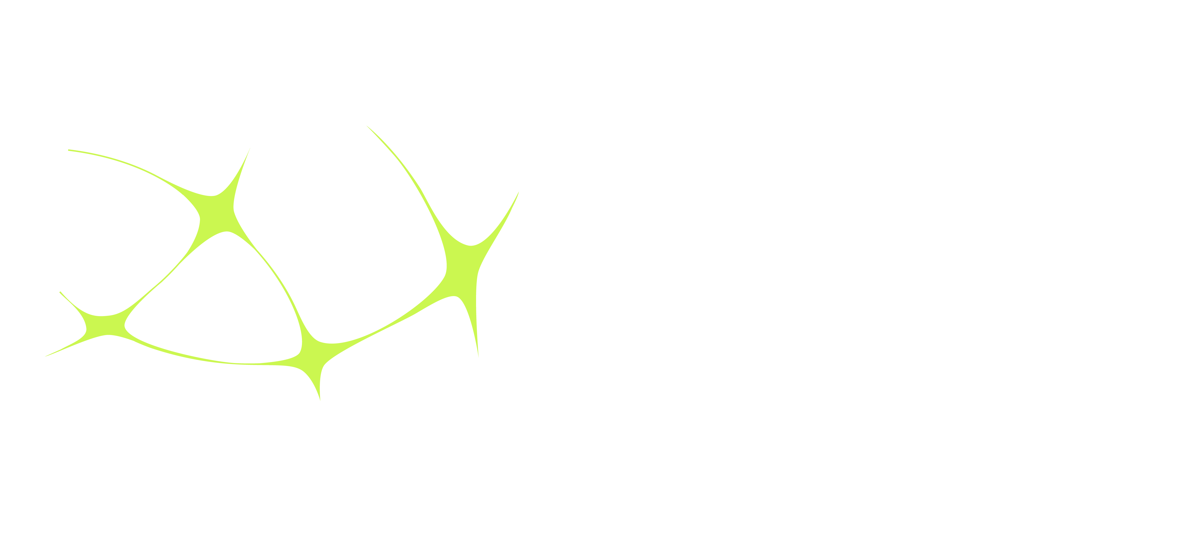 Micelio